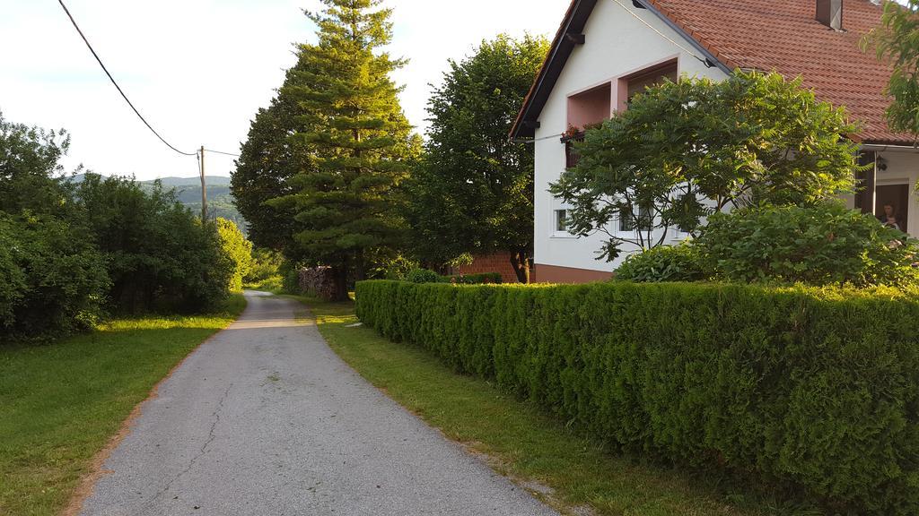 Apartment Nina Drežnik Grad Eksteriør billede